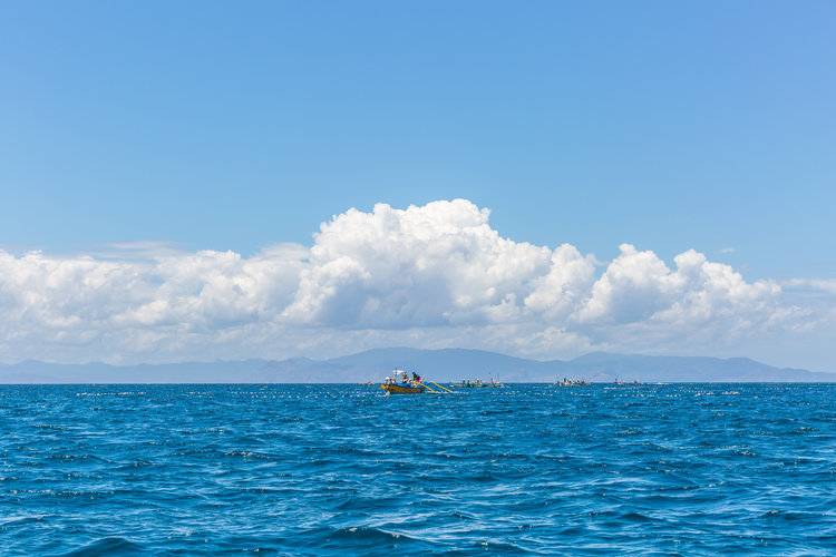 全球外贸数据-海关交易大数据分析-开发外贸客户-一键获客